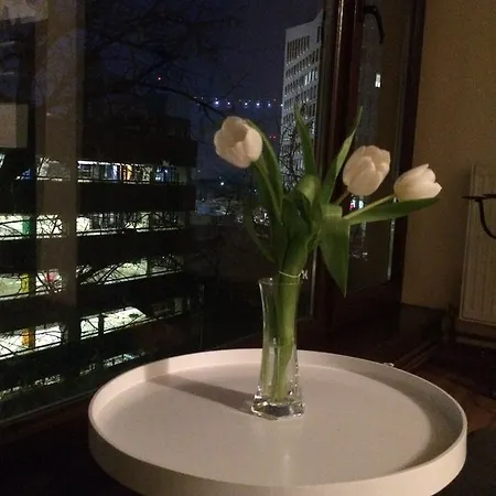 Apartament Andra Apartment Timisoara