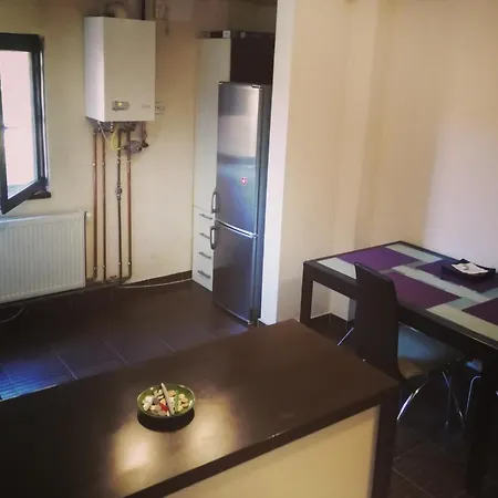 Apartament Andra Apartment